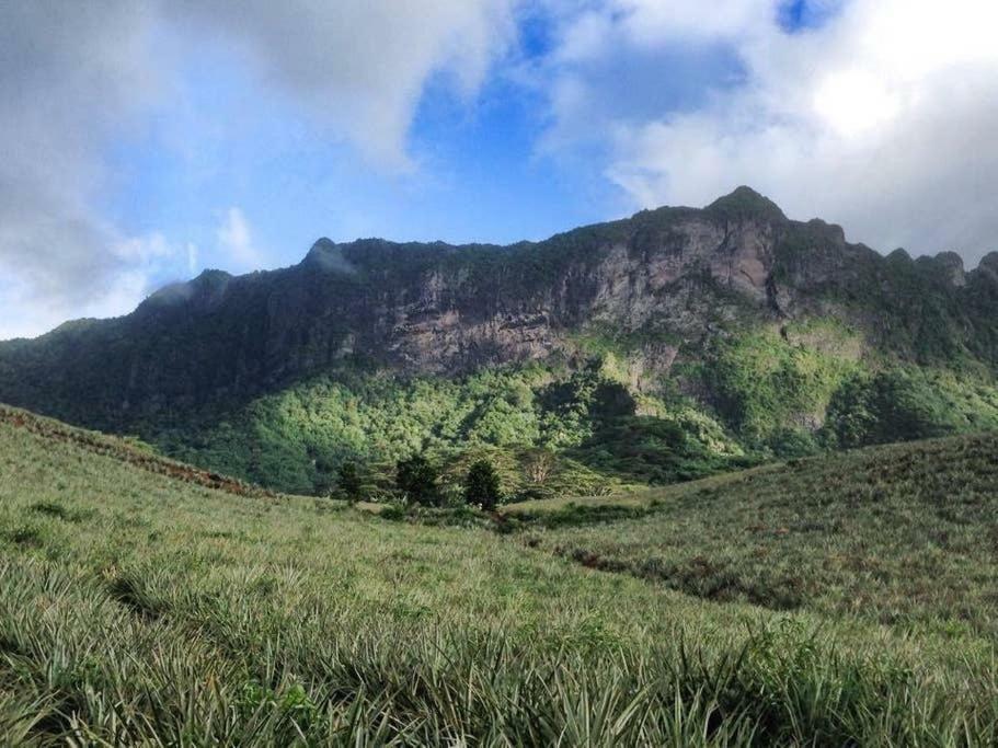 Fare Haurevaiti Moorea Paopao Exterior foto