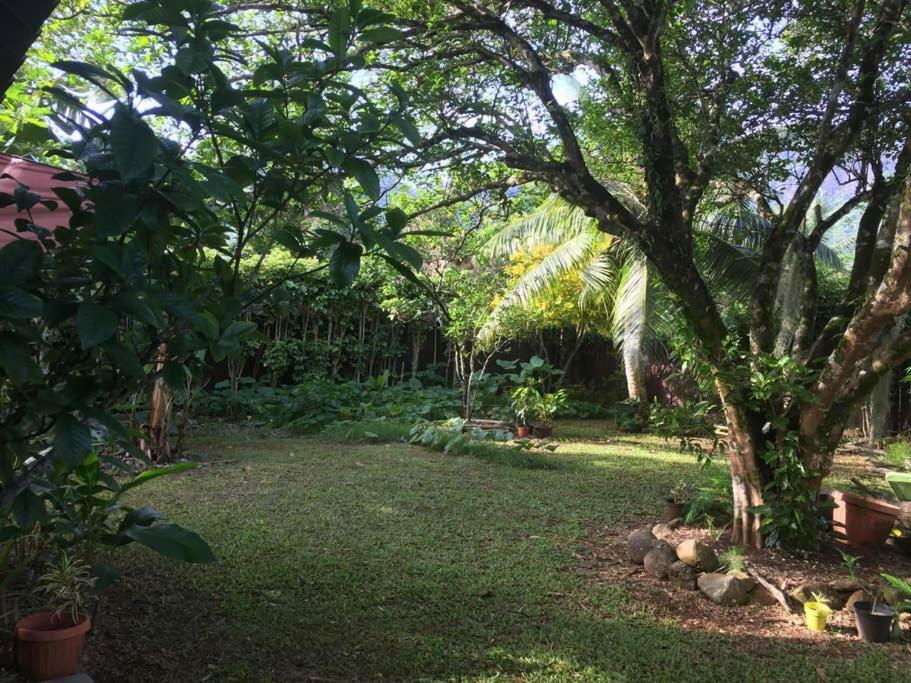 Fare Haurevaiti Moorea Paopao Exterior foto