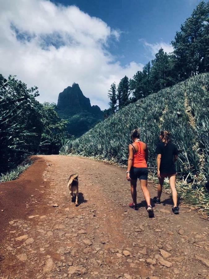 Fare Haurevaiti Moorea Paopao Exterior foto